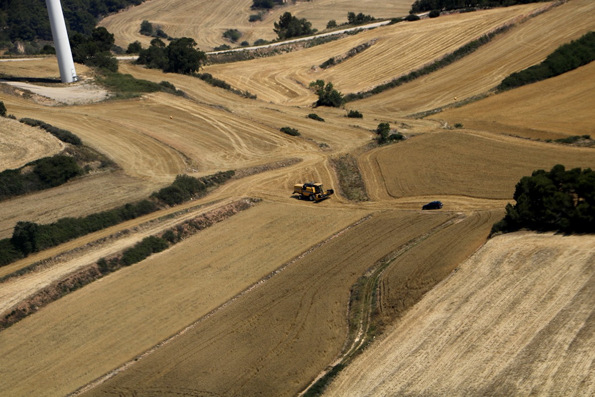 Vista aèria d'una màquina segant un camp a l'Urgell.