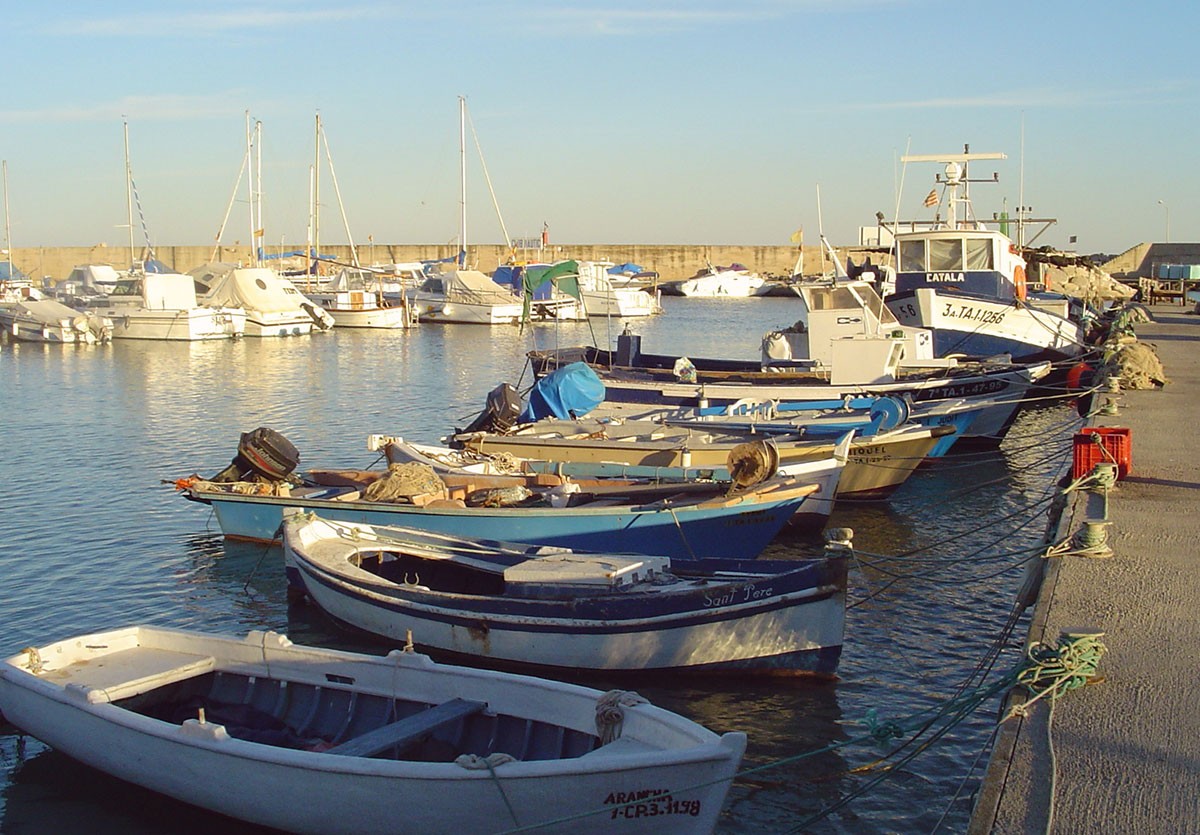 Barques de pesca a la Ràpita.