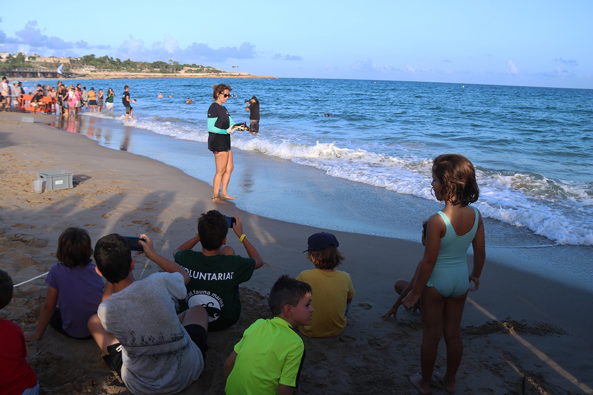 Una voluntària del CRAM alliberant una tortuga marina a la platja del Miracle de Tarragona.