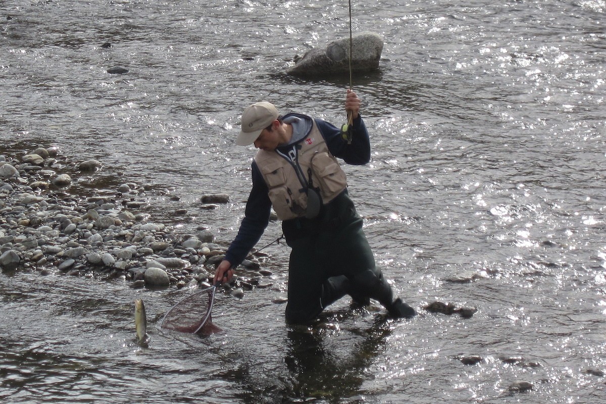 Un home pescant al riu Noguera Pallaresa