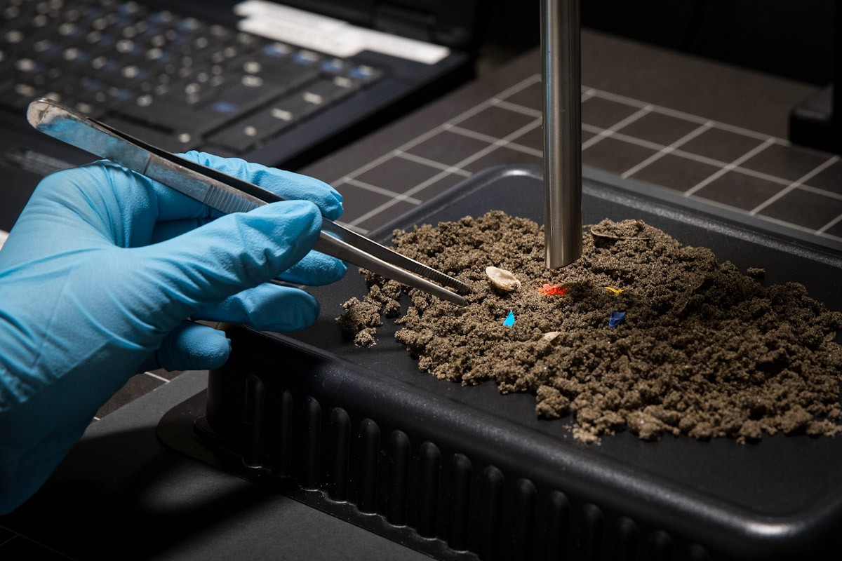 Una mostra de sediments contaminats amb microplàstics