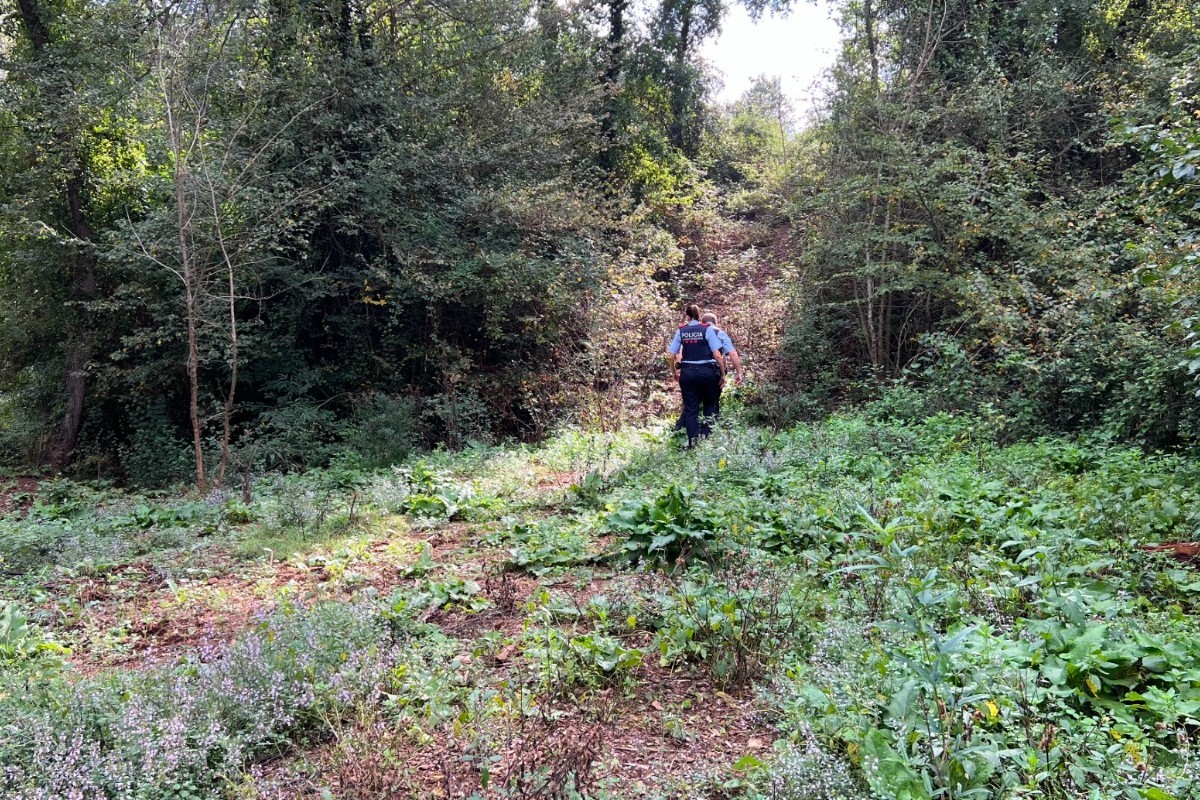 Dos agents dels Mossos buscant per zones boscoses 