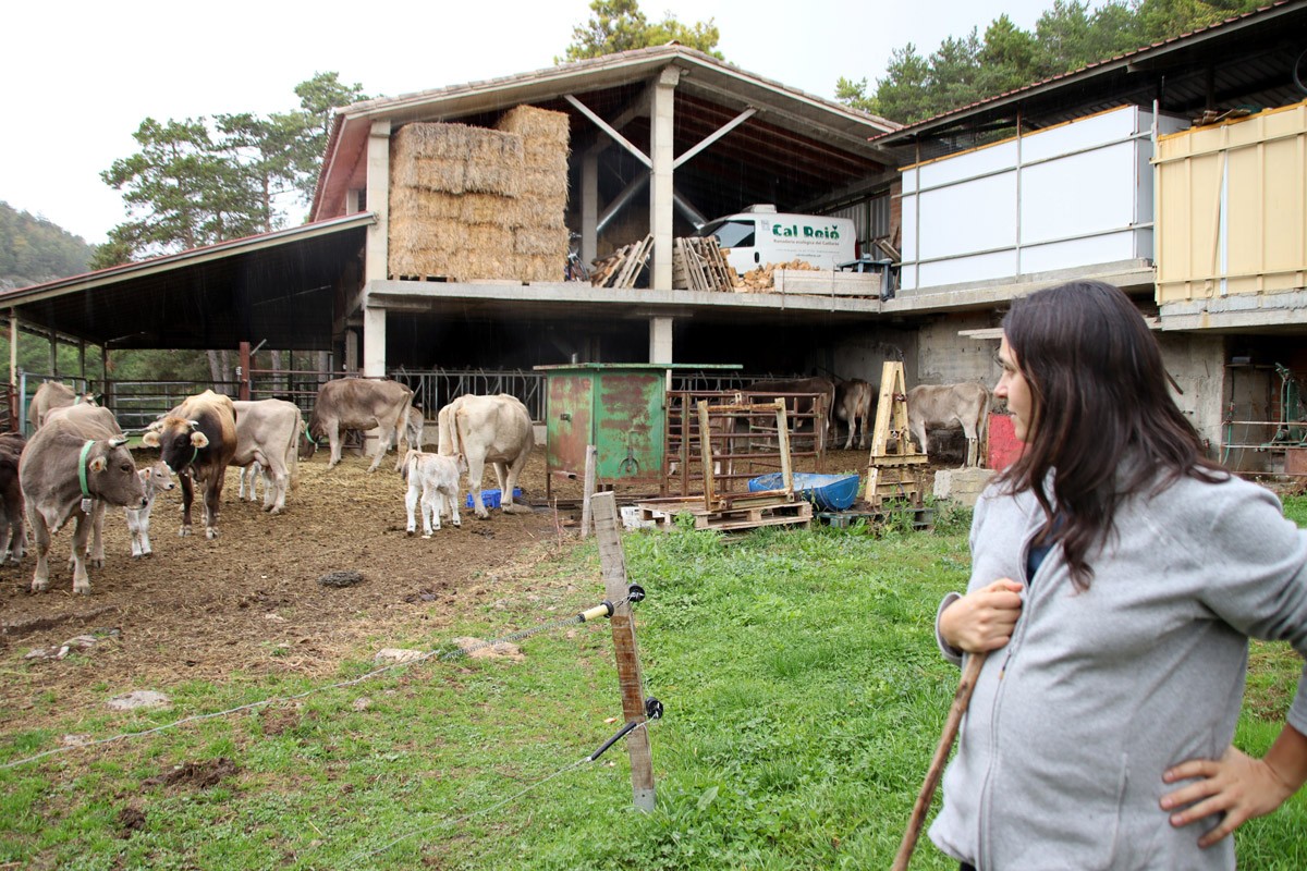 Martina Marcet, de Cal Rojo, mira les vaques que acaba d'engegar a pasturar