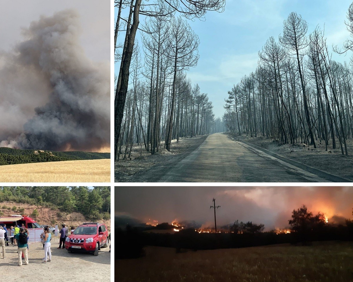 Imatges de diversos moments i indrets dels incendis 