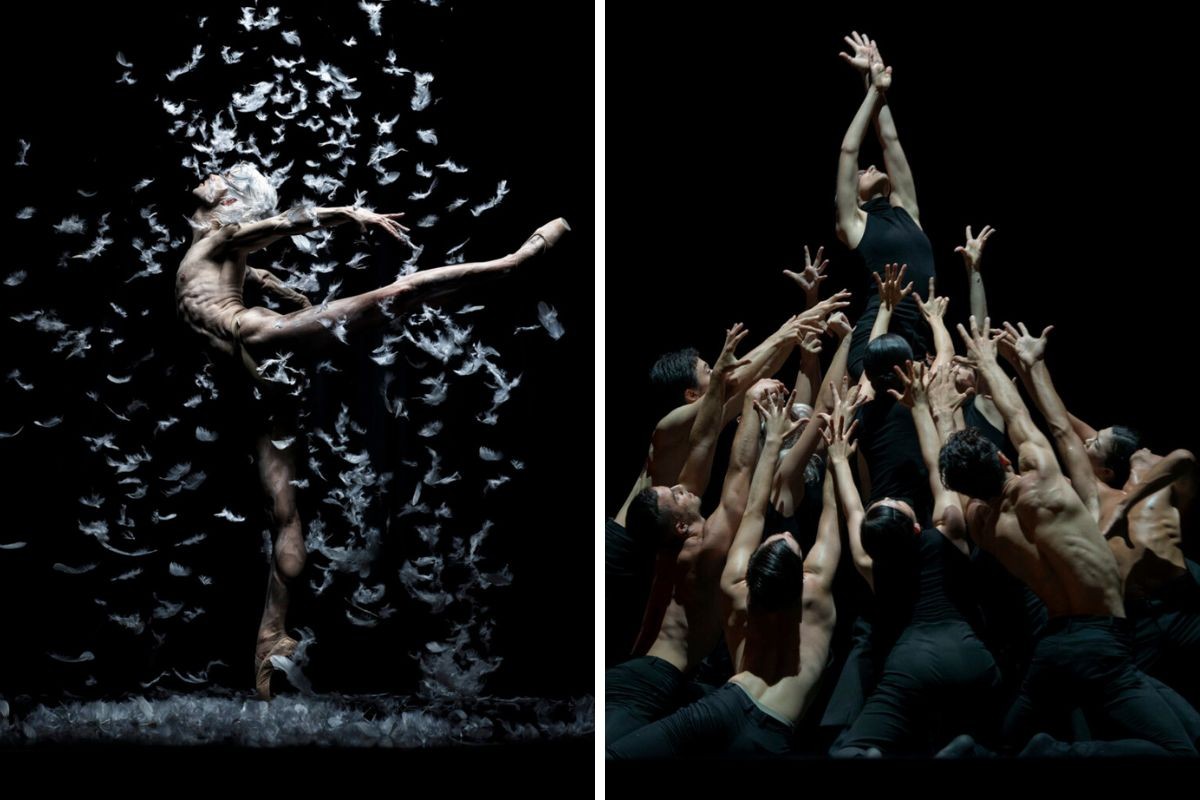 Doble espectacle del Ballet de Barcelona, aquest divendres a Rubí
