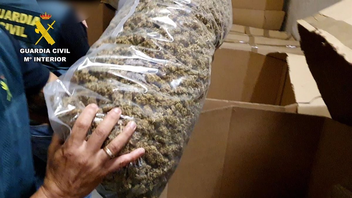 La partida més gran de cannabis envasat del món.