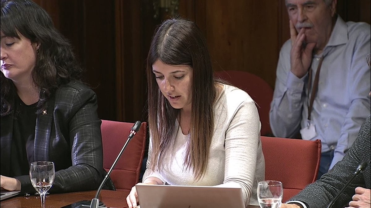 La Diputada ebrenca de Junts, Irene Negre, durant la seua intervenció al Parlament de Catalunya 