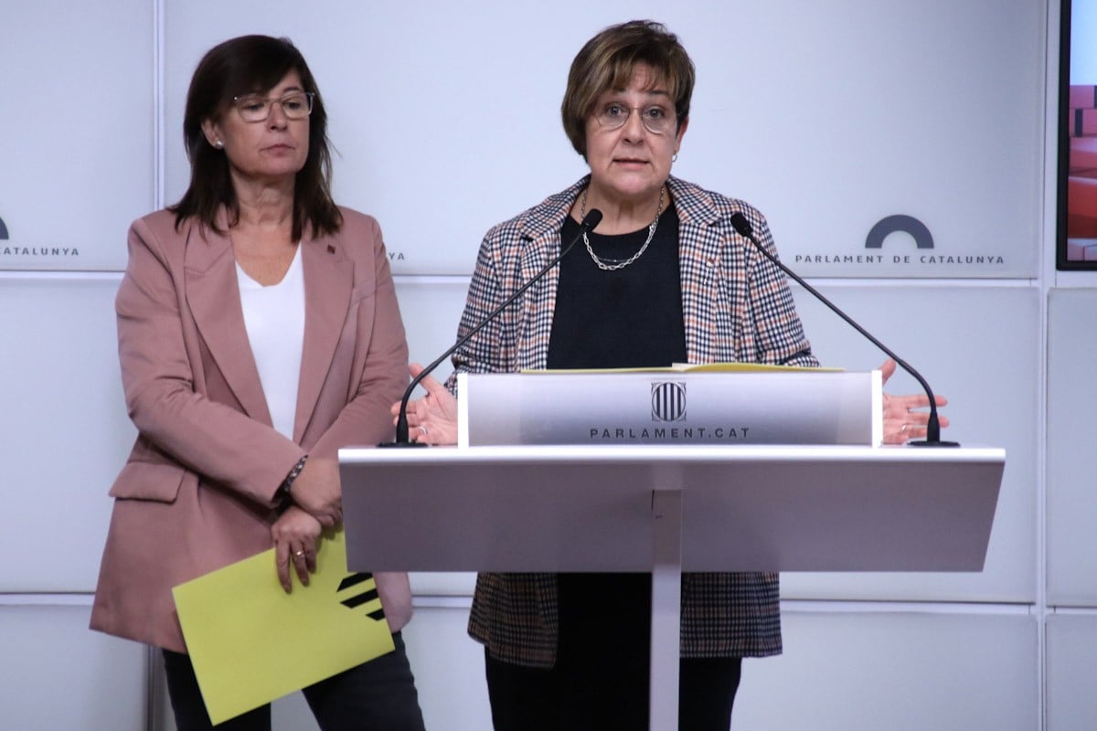 TOTALS: La diputada d'ERC, Maria Jesús Viña, acusa el PSC de voler convertir el Fons de Transició Nuclear en una 