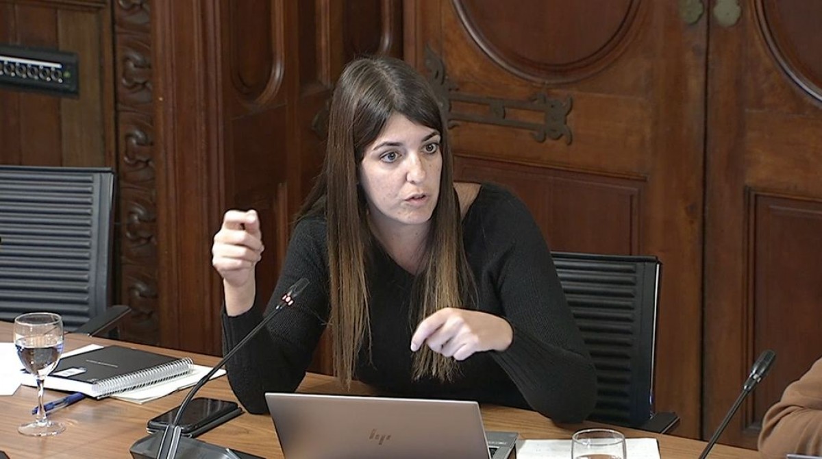 La diputada ebrenca de Junts, Irene Negre, en una intervenció al Parlament de Catalunya .