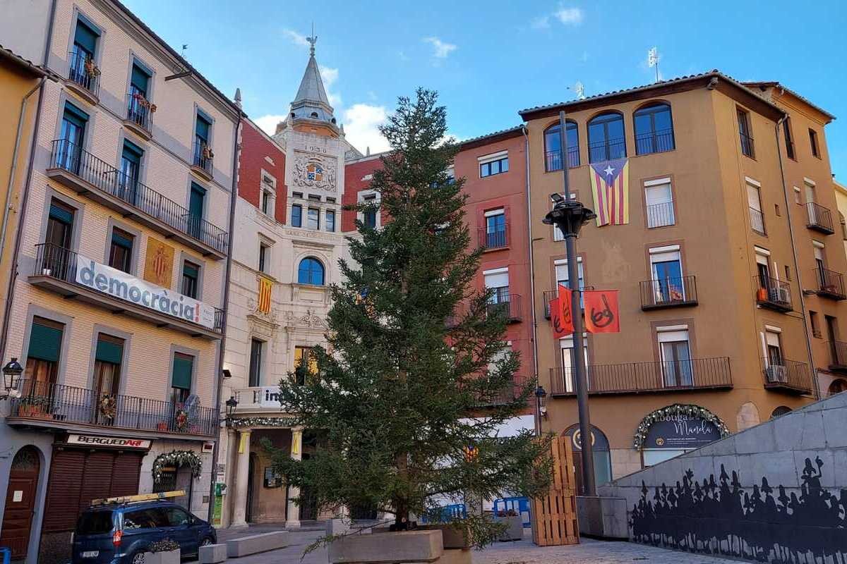 L'arbre de Nadal de natural a la plaça de Sant Pere
