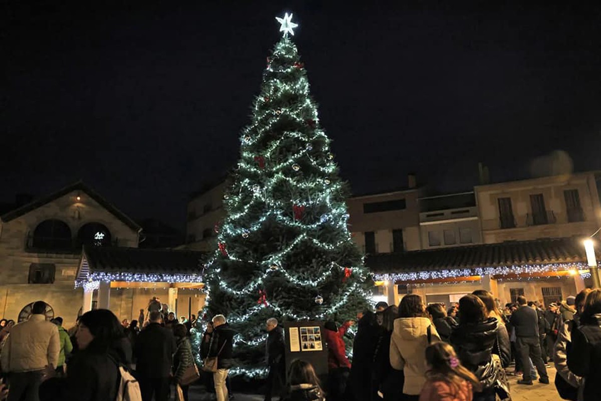 Setanta avets formen un arbre de Nadal a Sant Hilari Sacalm