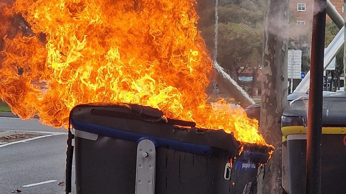 Una imatge del contenidor cremant