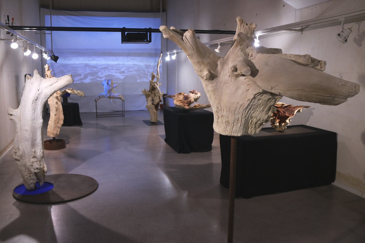 Vista general de l'exposició 'Troncs de mar' al museu de l'Ebre de Tortosa, amb la peça 