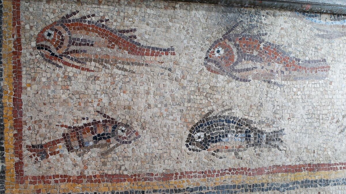 Detall del Mosaic dels Peixos del MNAT que ha estat restaurat al  mateix museu