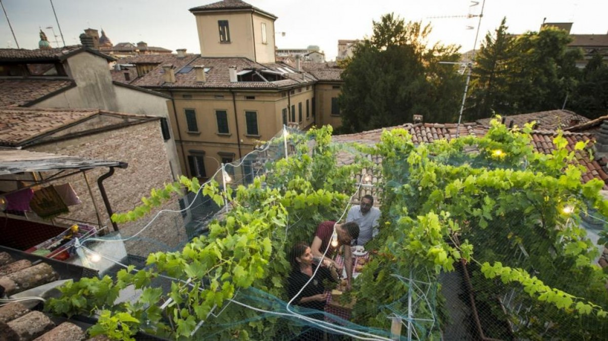 Les vinyes del celler Via Mari 10, en un terrat d'Itàlia