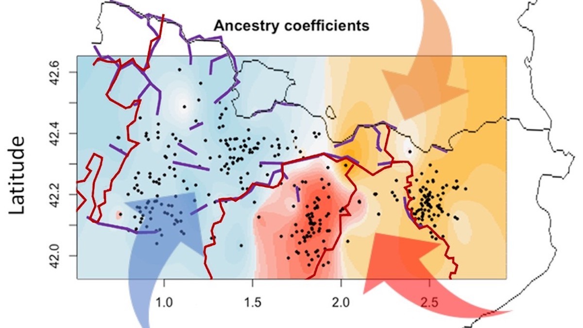 L'orografia (línies morades) i els límits administratius (línies vermelles) han modelat el perfil genètic dels habitants del Pirineu