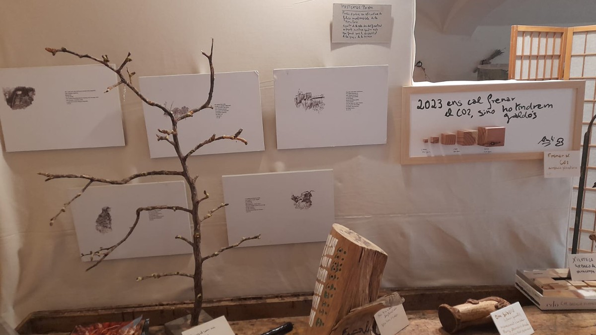 Algunes de les peces de l'exposició Art de Bosc de Martí Boada