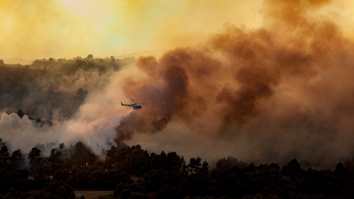 Un incendi forestal a la Catalunya Central