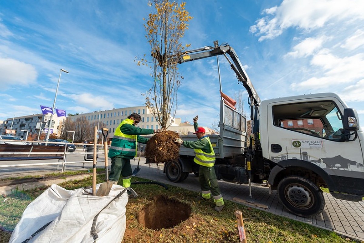 La Brigada Municipal plantant nous arbres al passeig de Francesc Macià