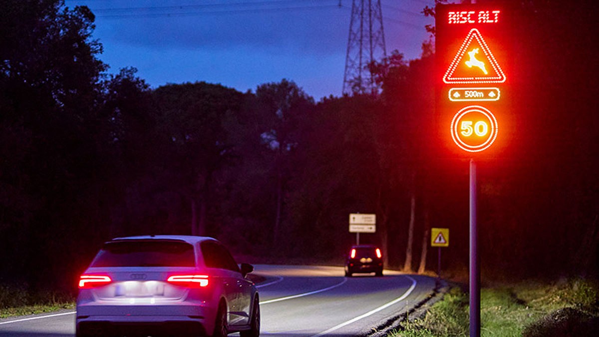 Senyal en una carretera gironina per alertar de la presència de senglars