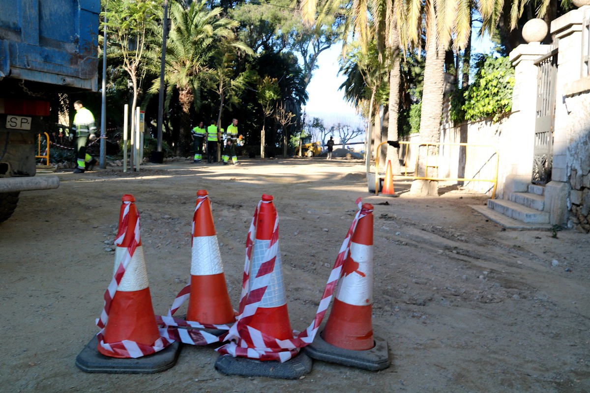 Uns cons tallen el pas al passeig lateral del parc Teodor González de Tortosa, que connecta la Via Verda i l'avinguda Generalitat, on diversos operaris de jardineria planten jacarandes 