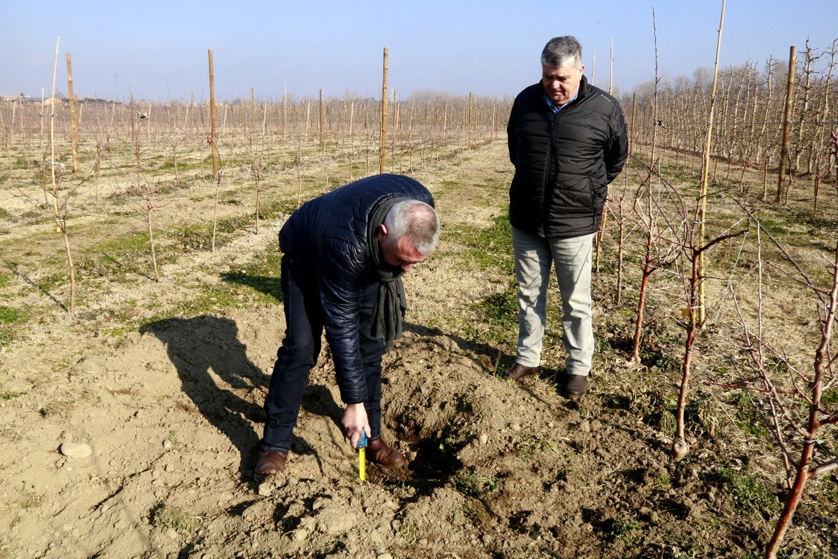 El president d'Asaja Lleida, Pere Roqué, mostra amb una cinta mètrica un forat de 30 centímetres fet per un senglar en una finca de l'horta de Lleida propera al terme de Corbins 