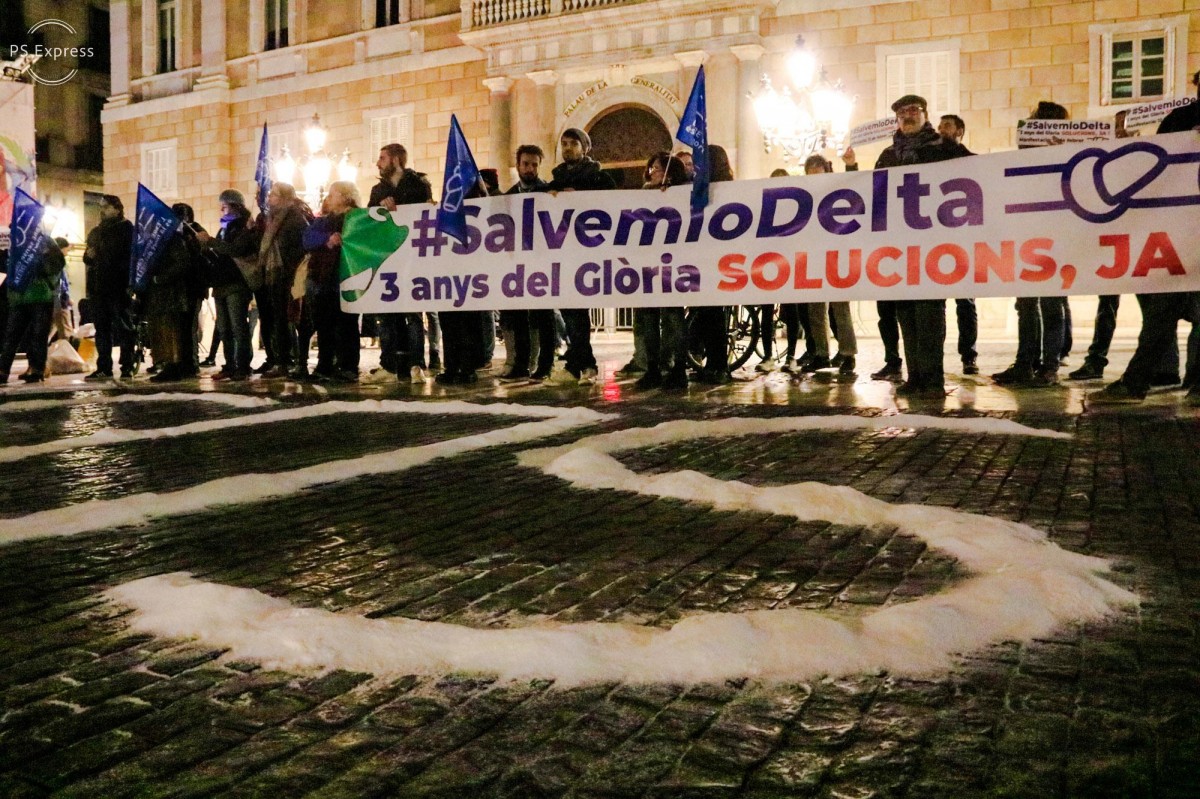 Concentracióen defensa del Delta de l'Ebre a la plaça de Sant Jaume de Barcelona