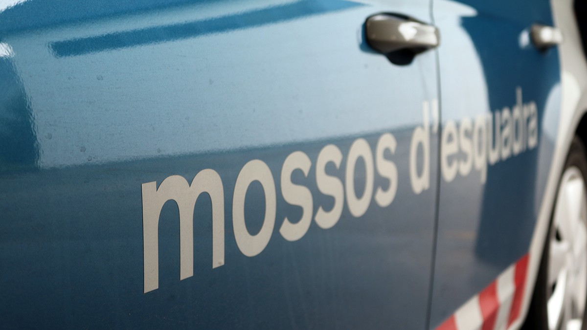 Els mossos van iniciar una investigació després de descobrir una primera plantació.