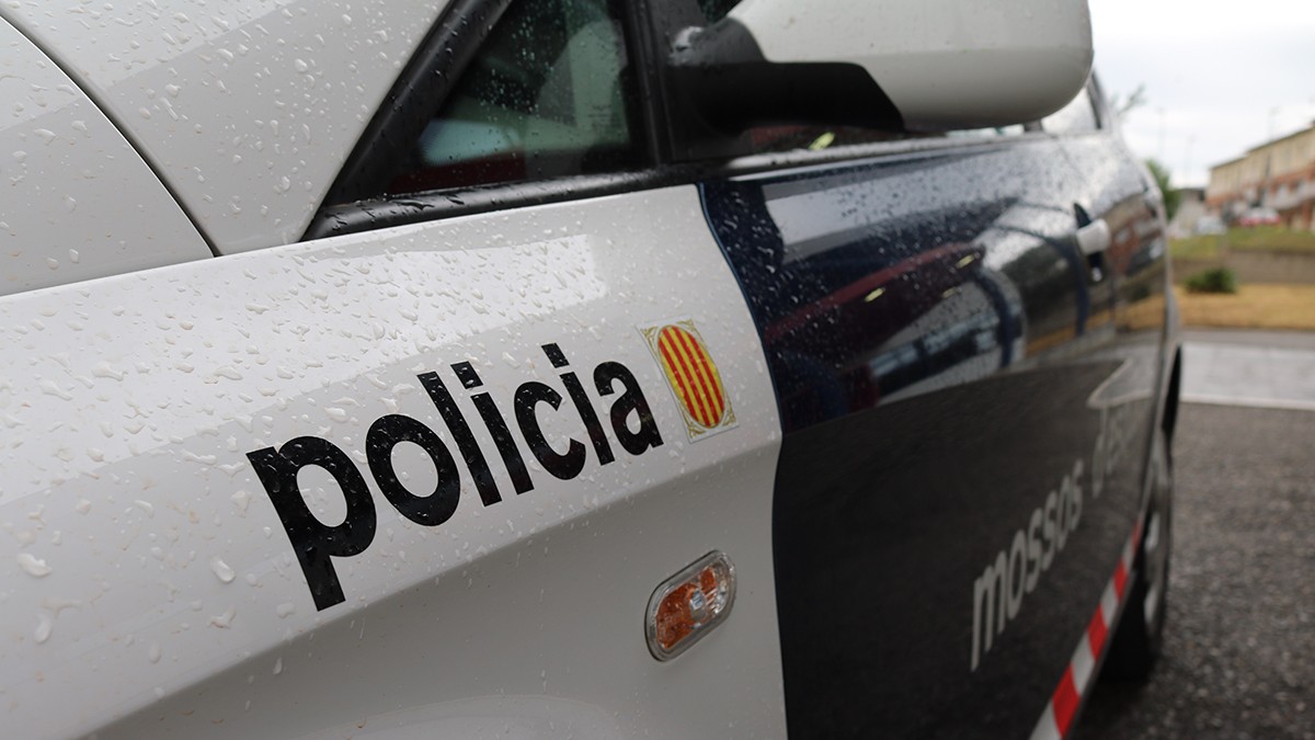 Els Mossos d'Esquadra han intervingut conjuntament amb la Policia Local de Tortosa.