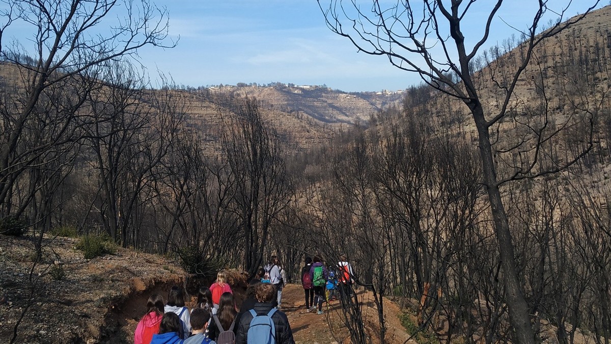 Famílies del Pompeu Fabra del Pont visitaran el bosc cremat