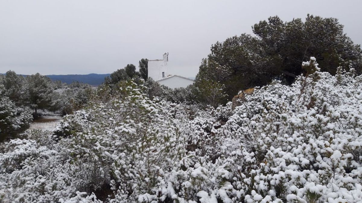 Neu als voltants de l'ermita de Sant Antoni, a Albinyana.