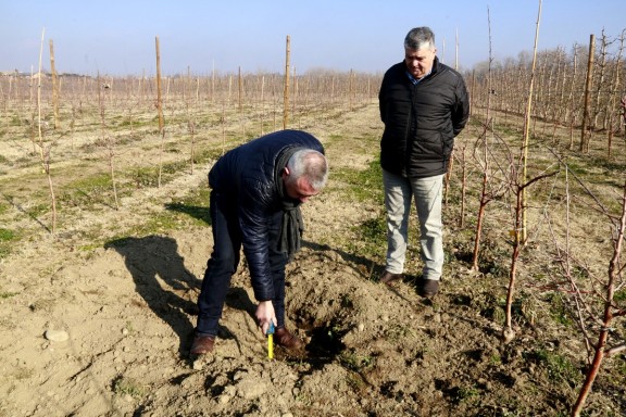 Crit d'alerta dels agricultors: «En dos anys hi haurà més senglars que pagesos»
