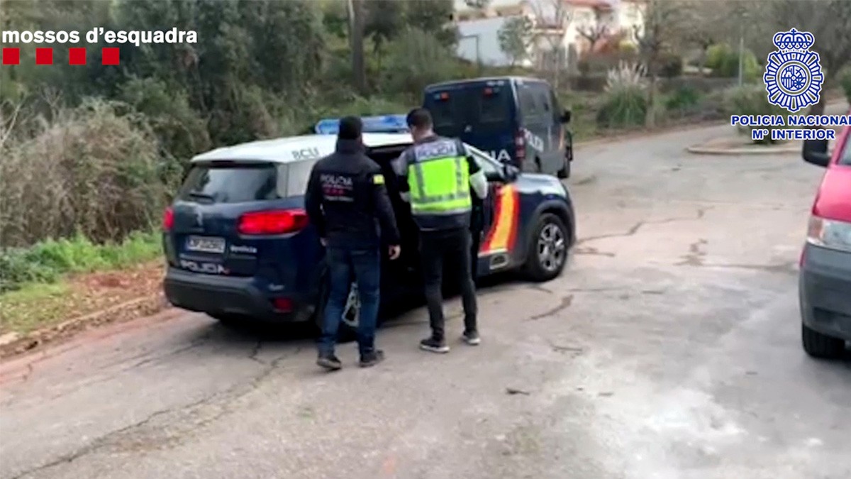 Detencions per plantacions de marihuana a Sant Antoni de Vilamajor i Riells i Viabrea