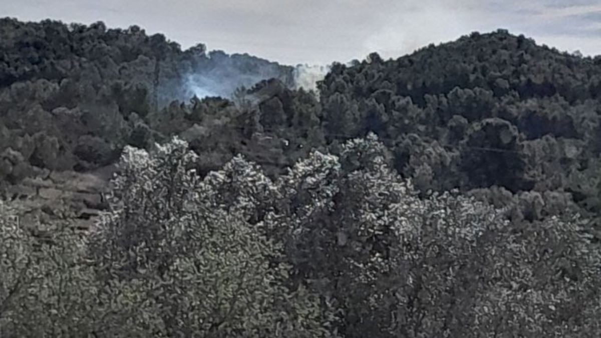 L'incendi forestal s'ha produït al Perelló.