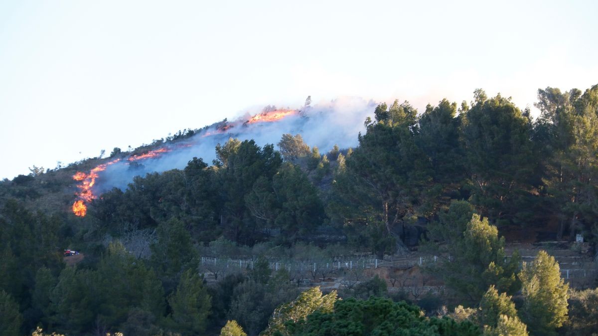 Les flames van cremar una vintena d'hectàrees.