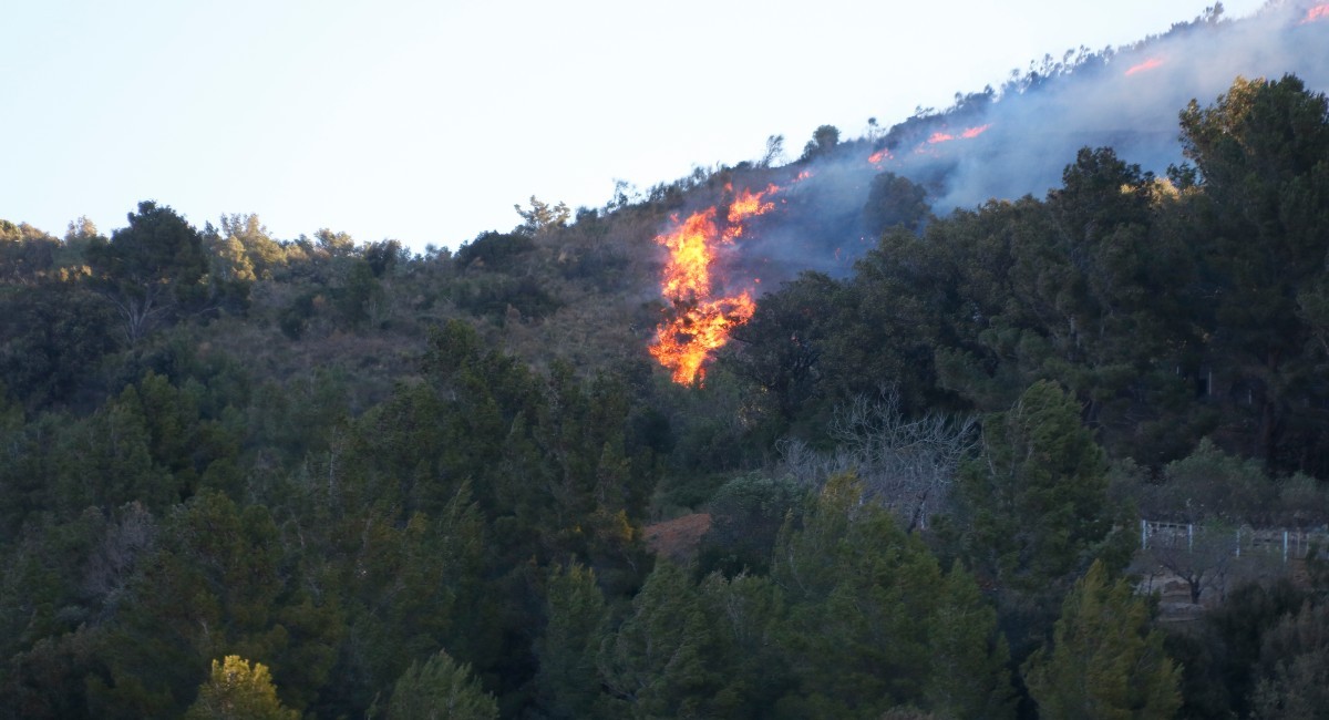 Imatge de l'incendi forestal a la Selva del Camp