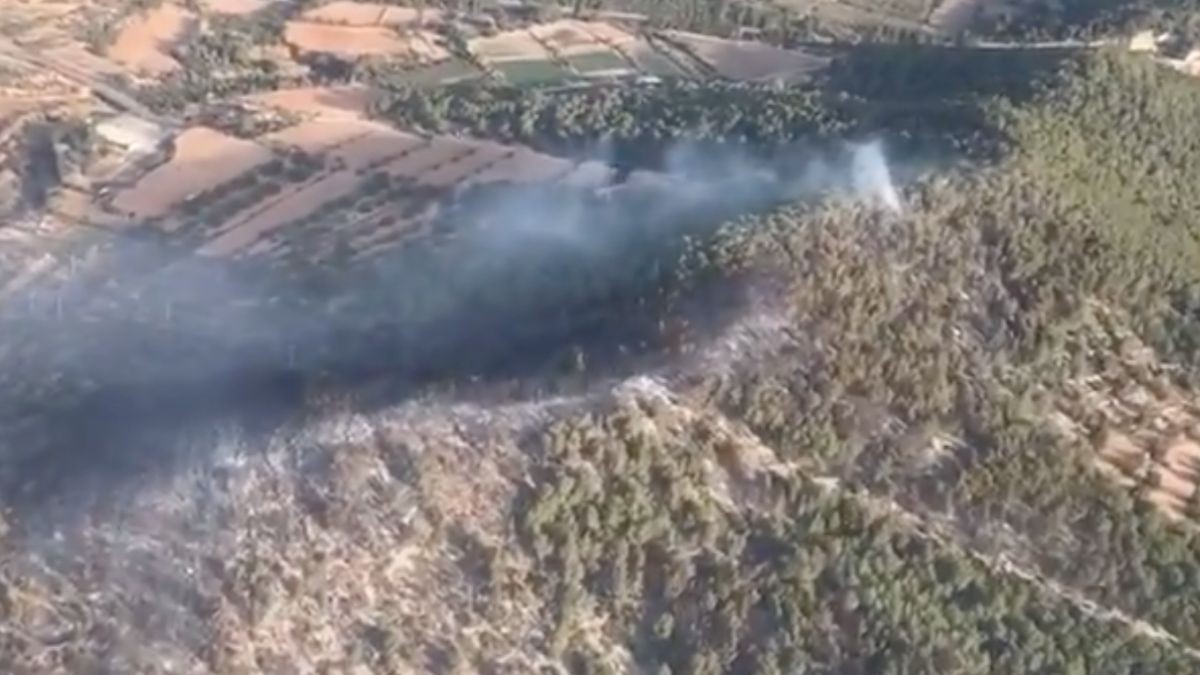 Imatge aèria de la zona afectada per l'incendi de Calafell