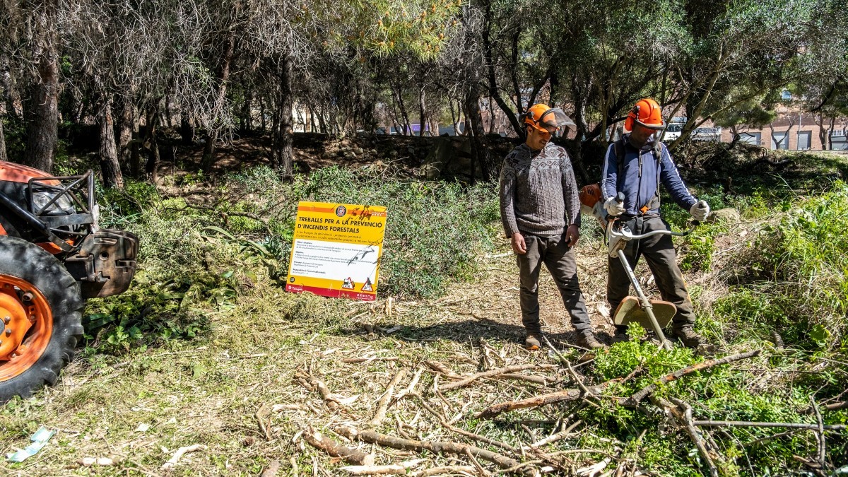 Imatge de dos operaris fent treballs de neteja forestal a Tarragona.
