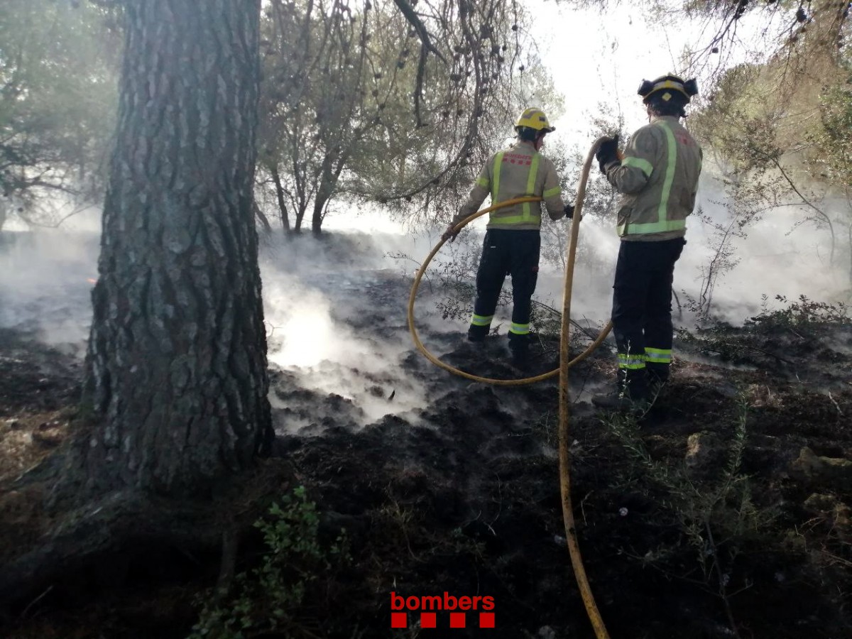Els Bombers treballant en el petit incendi de vegetació forestal al Pla de Santa Maria