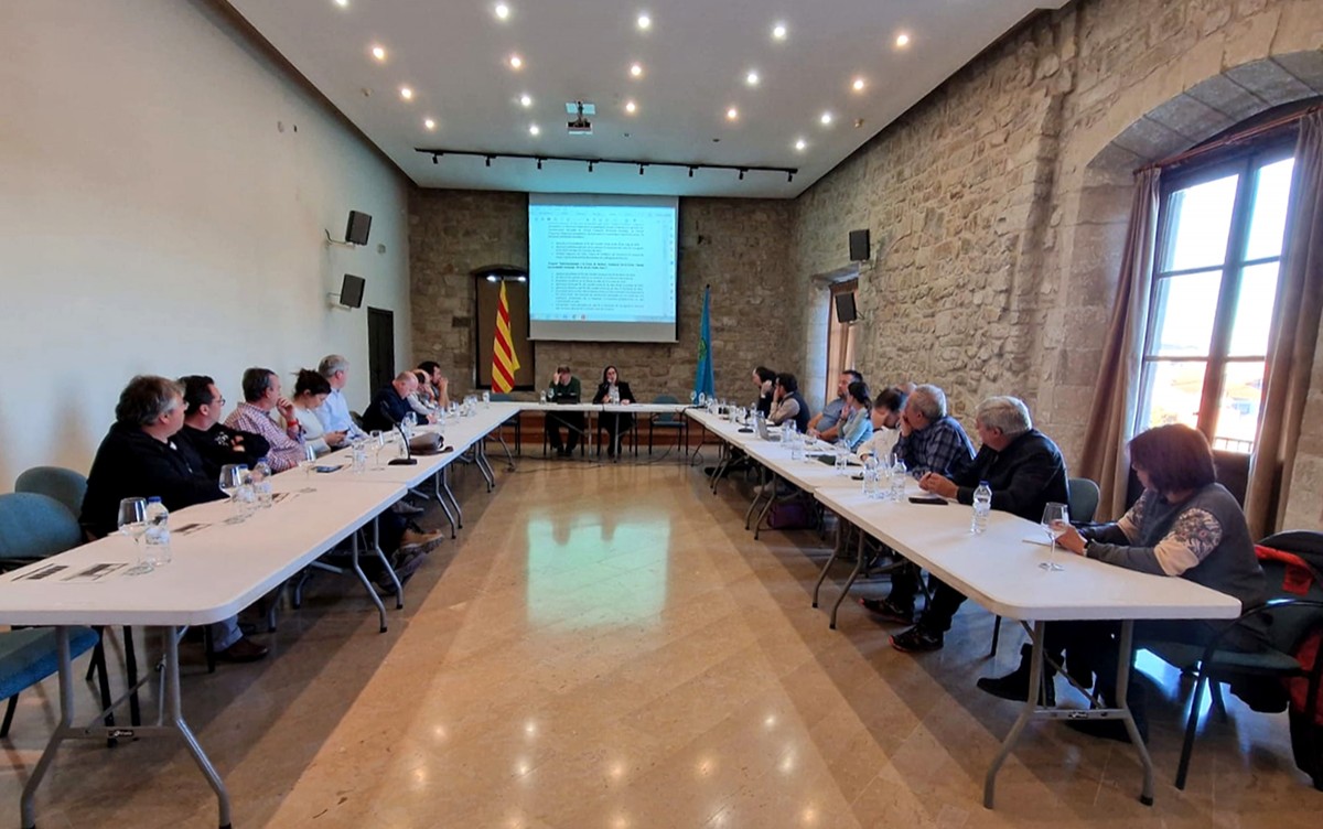 Consell d'alcaldes i alcaldesses de la Conca de Barberà.