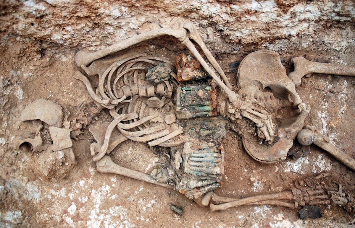 Restes òssies d'un dels individus exhumats al cementeri de Masdenverge.
