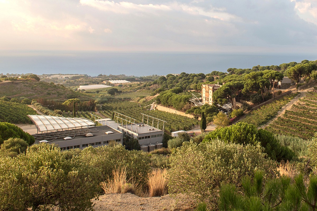 Imatge de la finca amb vistes al mar on s’aprecia el celler, la vinya i la casa modernista Can Genís