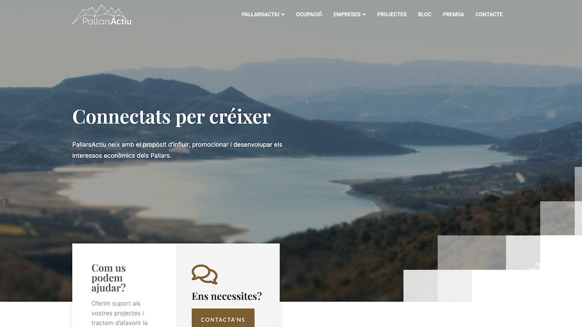 Captura de la nova web de Pallars Actiu
