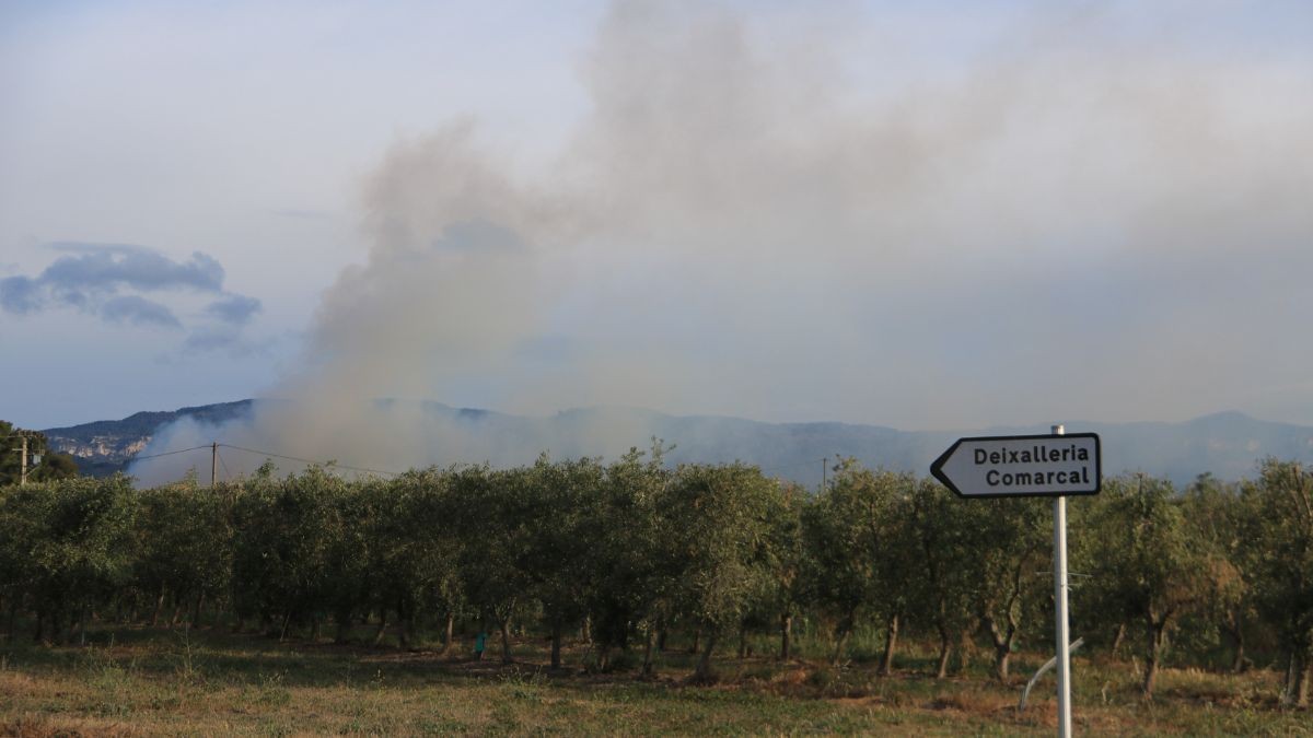 Imatge del fum que surt des de la planta de Botarell.