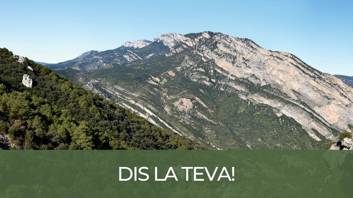 Vista panoràmica del Montsec d'Ares