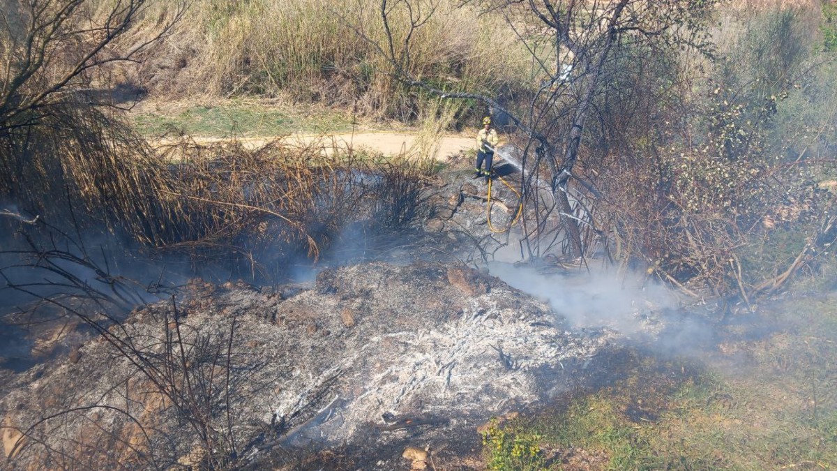 Imatge de l'incendi del passat 26 de març a Vinebre.