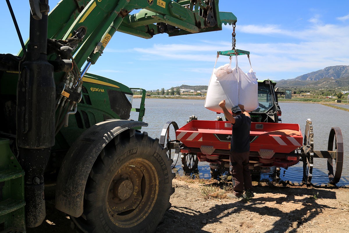 Un tractor grua porta un sac de llavors d'arròs a la màquina que les escamparà als camps.