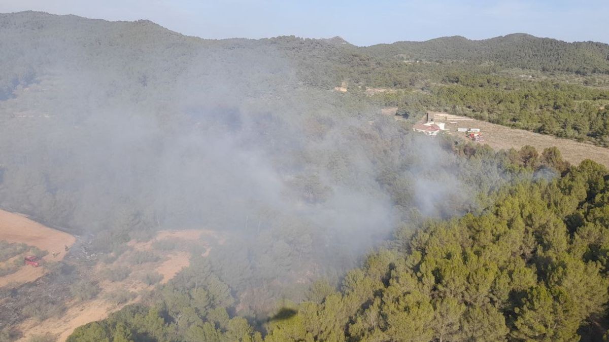 Imatge de l'incendi al Perelló.