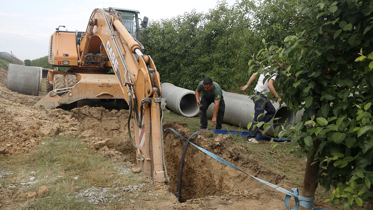 Excavant un pou per inentar regar una de les finques del canal d'Urgell