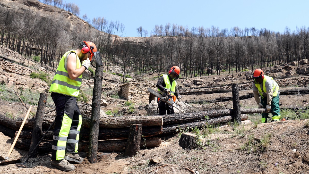Treballadors construeixen una feixina per contenir l'aigua al bosc cremat del Pont de Vilomara